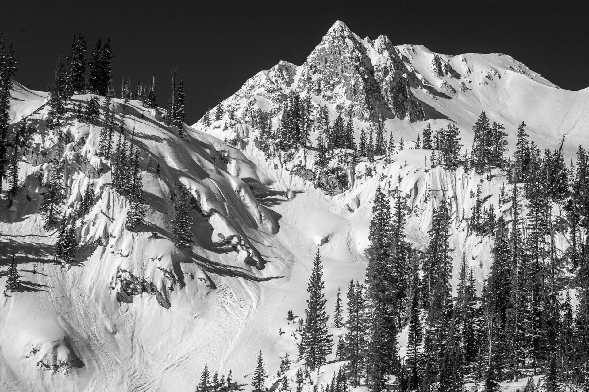 Black and white gladed snow covered mountain face with pine trees and ski tracks.